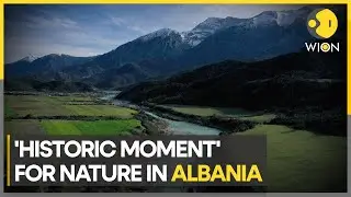 'Historic Moment': Albania's 'Wild River' granted new status | WION Climate Tracker