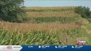 Kansas farmers see challenges in the agriculture industry