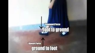 Physics: Distance, Inertia and Interaction