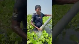Rural Fishing Technique #shorts