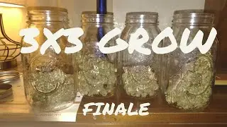 3x3 Grow Long Finale