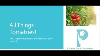 Chicago Grows Food July 2025 with Amy Powers, All Things Tomatoes
