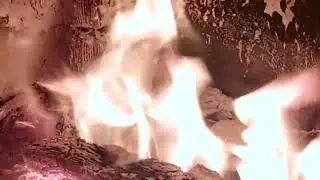 البواب - المعلم نبيل كتان 🎤🎤🎤😥😥
