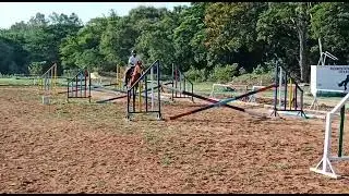 New horse good will six bar jumping cadet saiteja