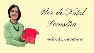Flor de Natal (Poins&eacute;tia) Aula no Programa Fa&ccedil;a Voc&ecirc; Mesmo