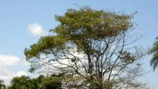 San Juan Airport - Isla Verde