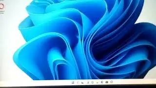 Windows 11 на сокете 775 с Pentium E2220 и GeForce 9600 GSO в 2022 году