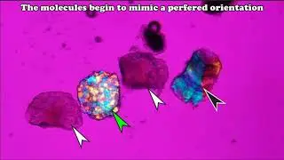 Quartz Identification by Polarized Light Microscopy