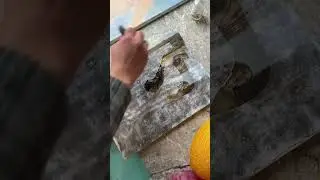 #TrueArt