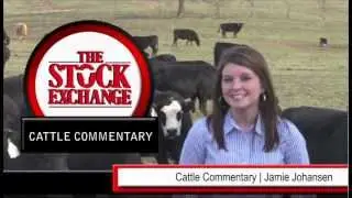 Cattle Commentary powered by DV Auction