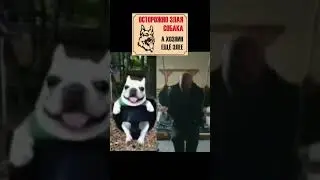 без хештегов залетит?