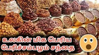 World biggest Dates market..  | #Tamil | #mka | #Vlog #datesmarket