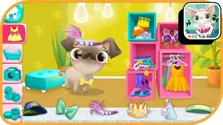 Miss Hollywood - Fashion Pets #6 | Budge Studios | Casual | Fun mobile game | Hayday