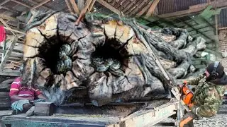 Gila! Kayu Besar Yang Retak bolong di Pabrik Kayu, Bagaimana Seorang Menutupi Ketidak sempurnaan?