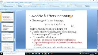 Donnée de panel (Effet fixe versus Effet aléatoire) (1)