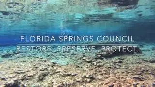 Florida Springs Council: Protect Florida's Springs