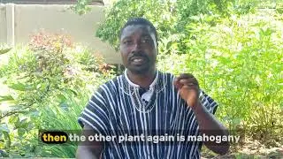 HOW TO PURIFY YOUR BLOOD NATURALLY || (TONICS: BLOOD PRODUCING HERBS) STEPHEN GARIBA #stephengariba