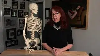 Terry Strickland Patreon Special Offer, Nov 2020
