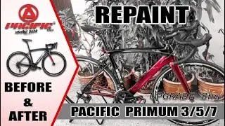 REVIEW | PACIFIC PRIMUM 5.0 REPAINT | FULL UPGRADE 8KG