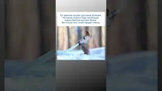 #мемы_тикток #мем #смешнойшортс #смешновидео #мемы #юмор #мемас #тиктокнутая #прикол