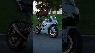 YAMAHA BIKE 650SR MODIFIED EDITION 2025|2025 Yamaha 650SR The Ultimate Street Beast You Need to See