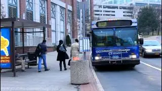 Bee-Line Bus: Route 12, 13, Loop A, iBus and NIS buses on Westchester Ave