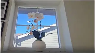 Styling the Ultimate Silk Orchid
