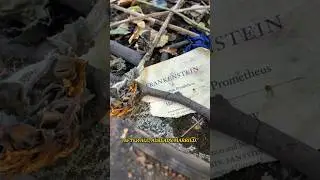 Mary Shelley&rsquo;s Gothic Secret