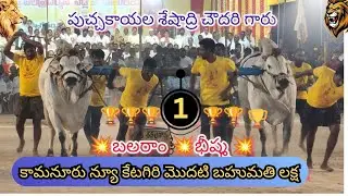 🚩కామనూరు న్యూ కేటగిరి🥇🏆బహుమతి psk psc bulls పుచ్చకాయల శేషాద్రి చౌదరి గారు బలరాం భీష్మ గిత్తలు