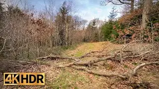 4K HDR Virtual Walking Pontrobert - Meifod inc Gallt yr Ancr summit, Powys, Wales - Amazing Nature