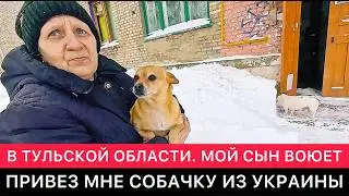В ТУЛЬСКОЙ ОБЛАСТИ. 