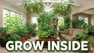 10 Indoor Vines That Grow Food All Winter (Even in Snow)