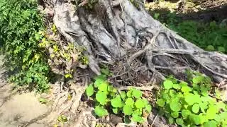 荻堂貝塚周辺