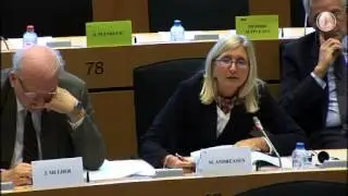 Marta Andreasen in the Budgetary Control Committee
