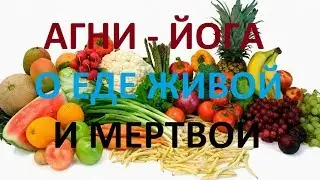 АГНИ - ЙОГА О ЕДЕ ЖИВОЙ И МЕРТВОЙ