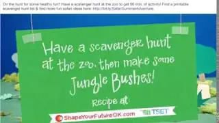 Shape Your Future Summer Adventures Jungle Safari | Oklahoma TSET | VI Marketing and Branding