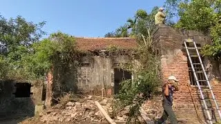 We Cut Down Huge Trees and Found an Abandoned House Hidden for Decades!