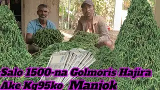 Salo 1500na Golmoris hajira ake kg 95ko manjok 
