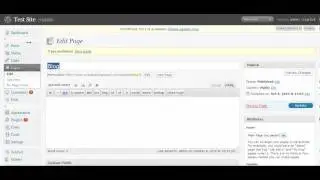 Displaying Posts to a Specific Page on Your Wordpress Website