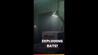 The US Military Tried to Make 'Bat Bombs' 🦇💣