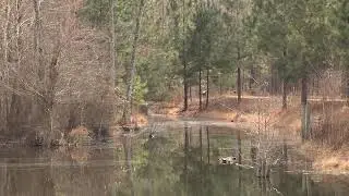 Book Designed to Help Rural Georgia Property Owners with Taxes