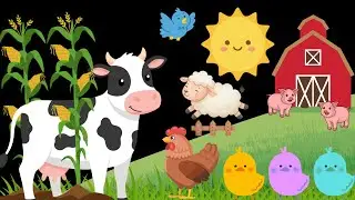Baby Sensory Farm Animal Fun Colors High Contrast with Visual Stimulation #babysensory