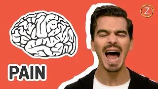 Do We Feel Pain Differently?