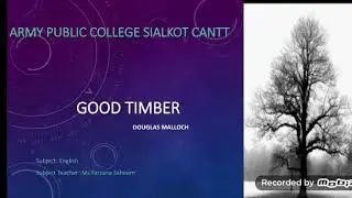 Good Timber( by Douglas Malloch)