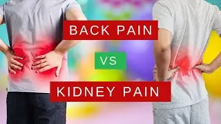 Back Pain or Kidney Pain? 5 Key Differences You Must Know!