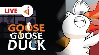 Udah SENIN lagi WKWK - Goose Goose Duck [Indonesia] LIVE #43