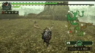 Monster Hunter Freedom PSP walkthrough part 15 : Iodromes and a.....???
