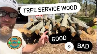 🌲TREE SERVICE WOOD🪵(Good/Bad) & Bucking Firewood  #firewood #woodhound