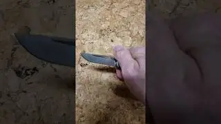 Enrique Pena X Series Front Flipper Trapper Jigged Titanium