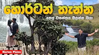 HORTON PLAINS | හොර්ටන් තැන්න | නෙලු වසන්තය බලන්න ගියා